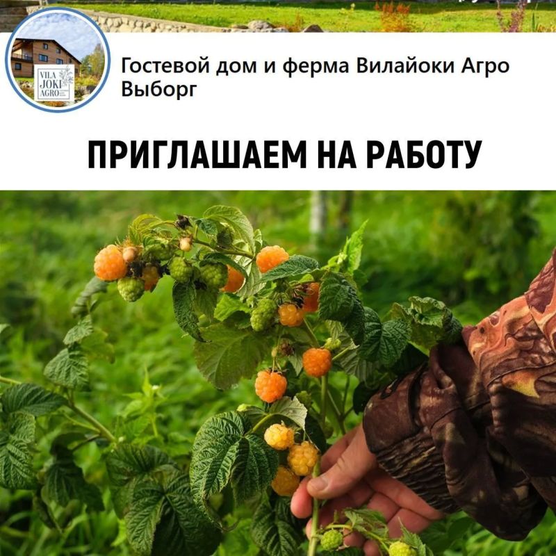 Лето на ферме в Выборге! Ищем помощников