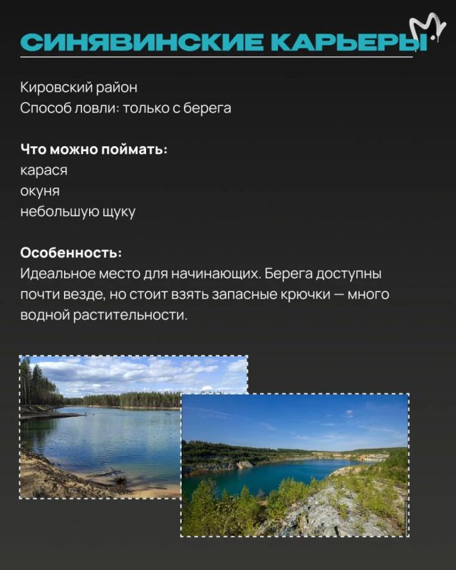 Щука, окунь, судак и карась где-то вас ждут Щука, окунь, судак и карась где-то вас ждут