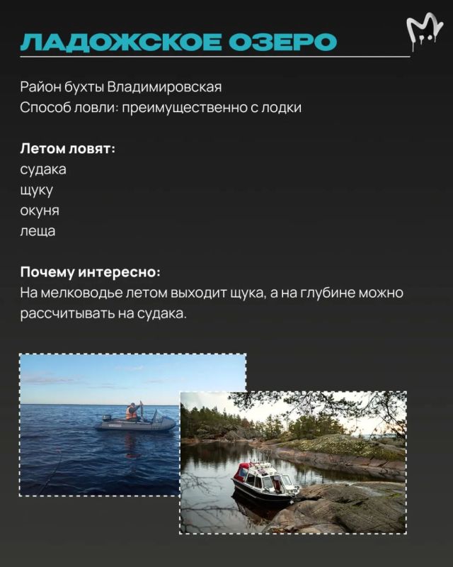 Щука, окунь, судак и карась где-то вас ждут Щука, окунь, судак и карась где-то вас ждут