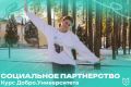 На курсе Добро.Университета вы рассмотрите государственную политику в области содействия развитию институтов гражданского общества и формы государственной поддержки добровольчества и НКО