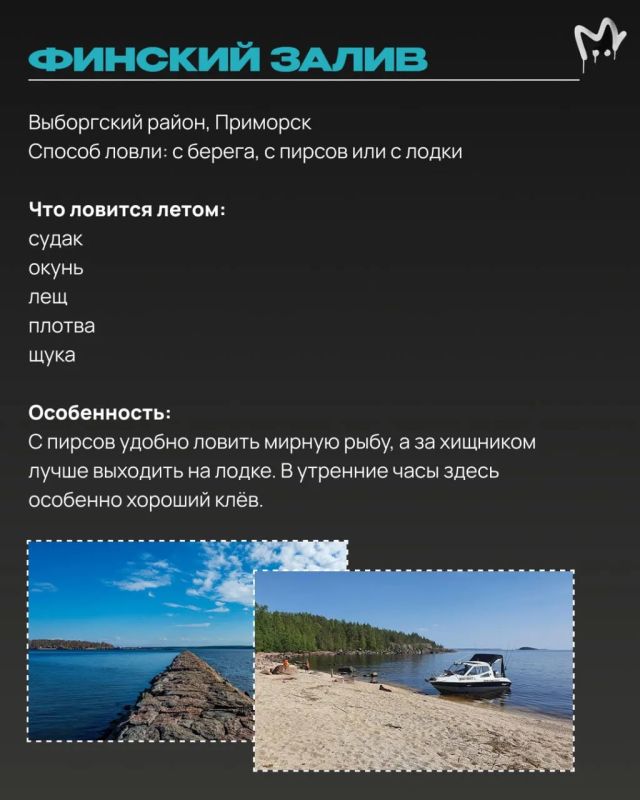 Щука, окунь, судак и карась где-то вас ждут Щука, окунь, судак и карась где-то вас ждут
