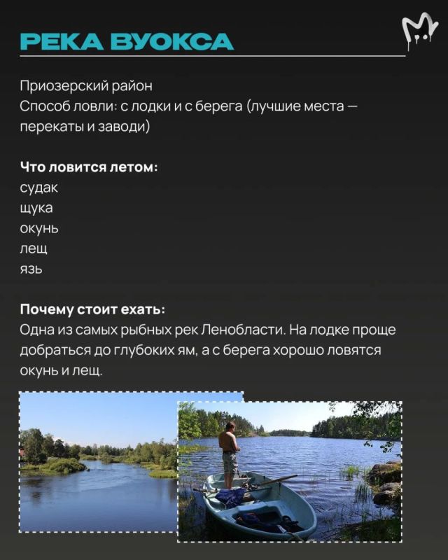 Щука, окунь, судак и карась где-то вас ждут Щука, окунь, судак и карась где-то вас ждут