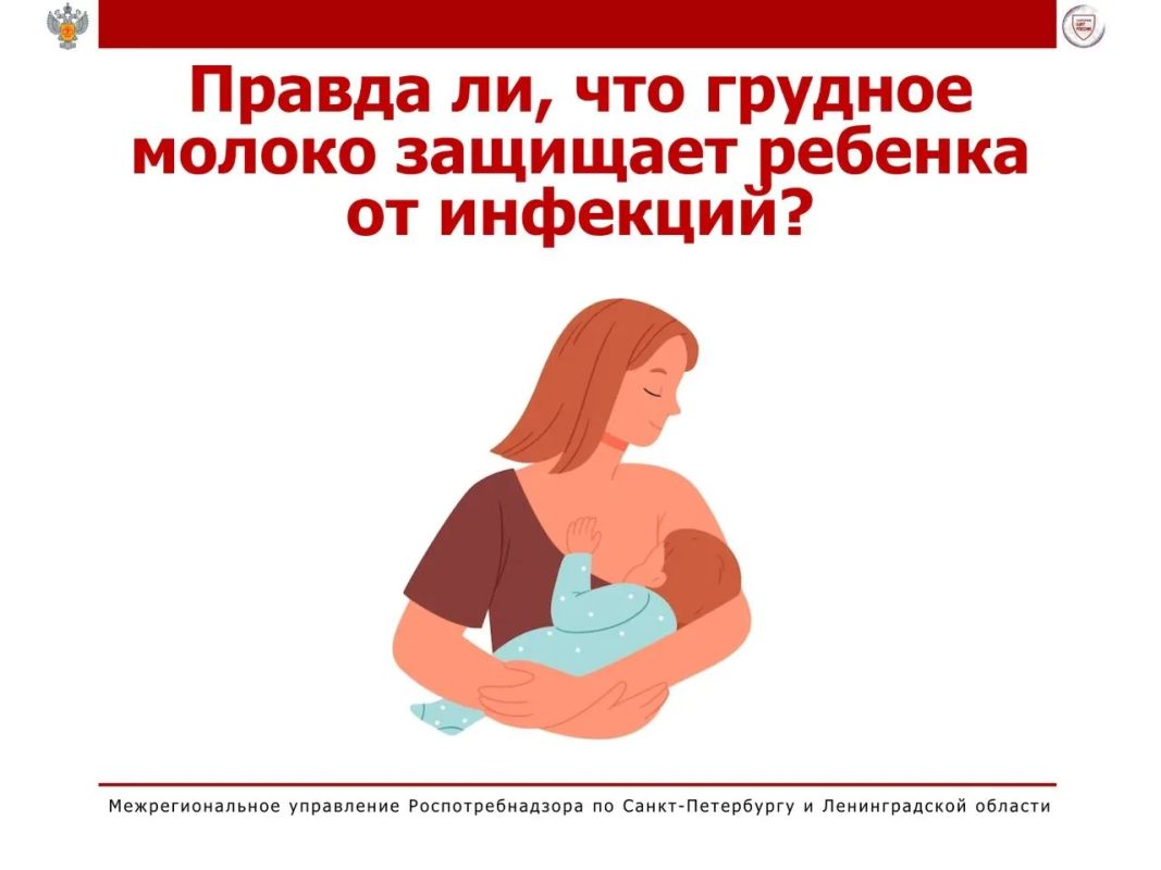 Грудное молоко – это не только питание, но и источник биологически активных веществ, которые помогают формированию и работе иммунной системы ребенка