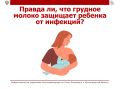 Грудное молоко – это не только питание, но и источник биологически активных веществ, которые помогают формированию и работе иммунной системы ребенка
