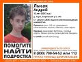 Подростка с инвалидностью по слуху ищут в Ленобласти