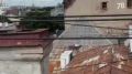 На видео — нелегальная прогулка по крыше, после которой полиция задержала экскурсовода и организатора опасного досуга