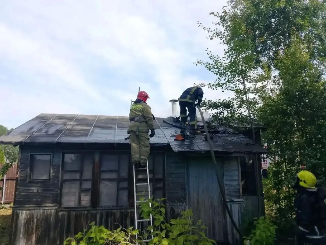 За прошедшую неделю подразделения территориального пожарно-спасательного гарнизона Ленинградской области реагировали на 92 оперативных события: За прошедшую неделю подразделения территориального пожарно-спасательного гарнизона Ленинградской области реагировали на 92 оперативных события: