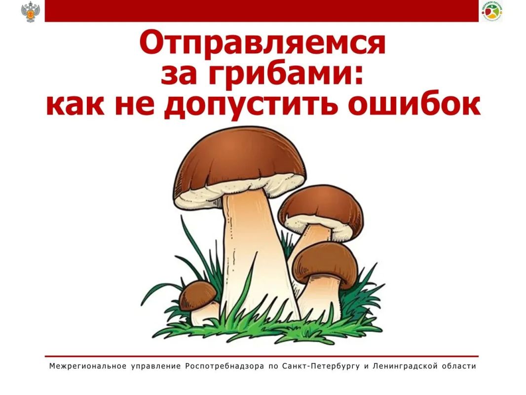 Собираетесь на «тихую охоту»? Проверьте себя по этому чек-листу