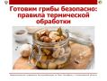 Найти и собрать грибы – только половина дела
