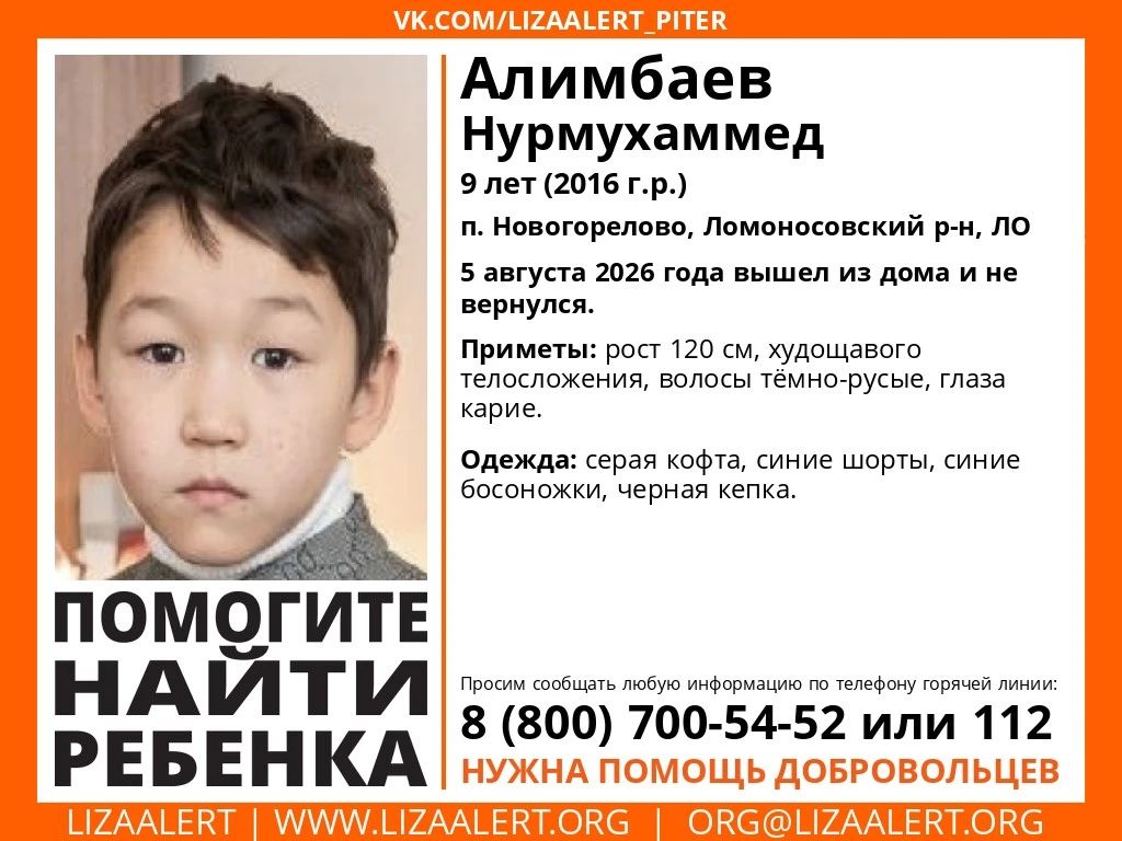 В Новогорелово ищут девятилетнего мальчика, пропавшего 5 августа