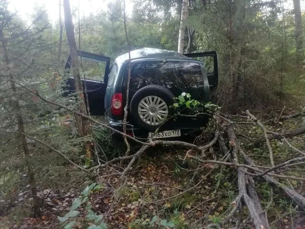 Из-за пьяной тюменки пришлось вызывать кран в куста - именно туда ночью бесправница подшофе слетала с проезжей части на "Ниве" Из-за пьяной тюменки пришлось вызывать кран в куста - именно туда ночью бесправница подшофе слетала с проезжей части на "Ниве"