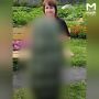 �������-������ � 43 ���� �������� ������� ������� �� ����������