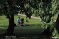 � ���������� ������� �������� ��� ������: ����� �������� ��� �������� �����������