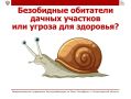 ������ �� ��� �������� ������ ������� ������ ��� ���������� ���������� ������ ��������, �� ���� ��� ������������, ��� ��� �������� ����� ������������ �������� ������ ��� ��������
