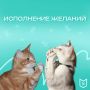 Мечты — это топливо нашей души