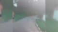 Пьяный в трусах переплыл Черное озеро, проник в Приоратский дворец, перекатил трехфунтовый «единорог», используемый для полуденных выстрелов, сорвал табличку и, после безуспешной попытки скрыться, был задержан сотрудниками...