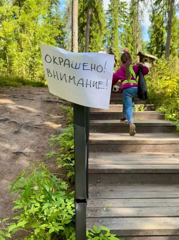 Волонтеры обновили инфраструктуру экотропы в «Линдуловской роще» Волонтеры обновили инфраструктуру экотропы в «Линдуловской роще»