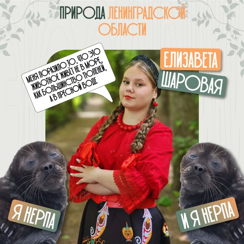 Ладожская нерпа, Линдуловская роща и венерин башмачок: что открывают школьники на олимпиаде «Природа Ленинградской области» Ладожская нерпа, Линдуловская роща и венерин башмачок: что открывают школьники на олимпиаде «Природа Ленинградской области»