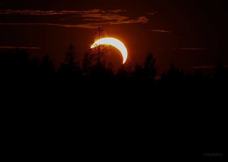Жители Ленобласти наблюдали солнечное затмение Жители Ленобласти наблюдали солнечное затмение