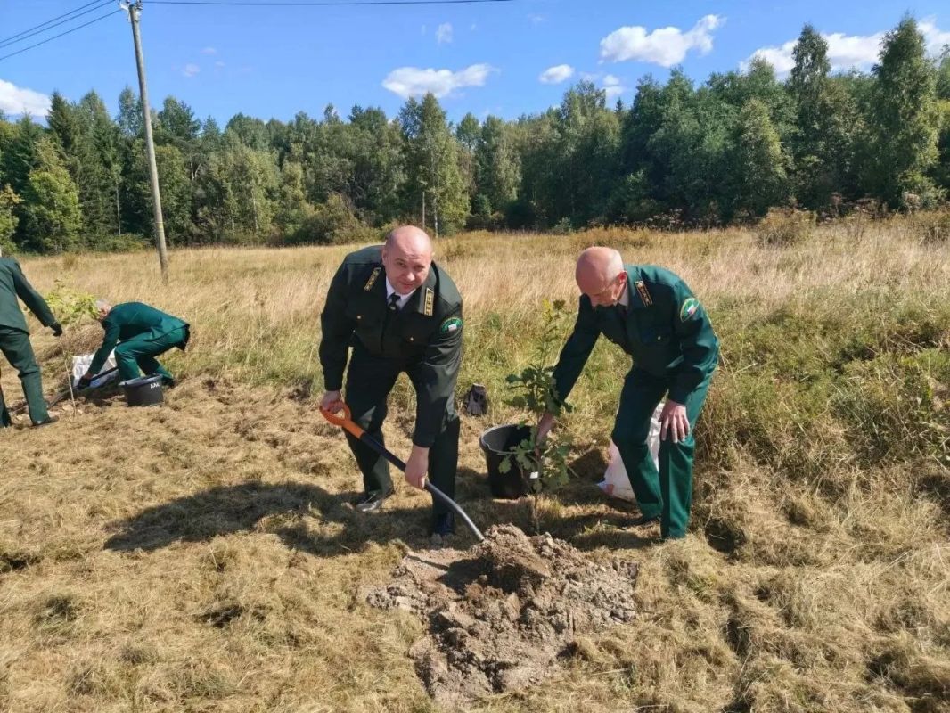 В Лисино-Корпусе заложили дубовую аллею в честь Дня лесовода В Лисино-Корпусе заложили дубовую аллею в честь Дня лесовода
