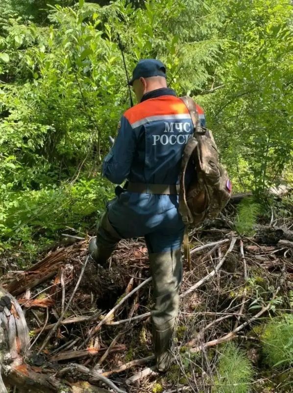 За прошедшую неделю подразделения территориального пожарно-спасательного гарнизона Ленинградской области реагировали на 147 оперативных событий: За прошедшую неделю подразделения территориального пожарно-спасательного гарнизона Ленинградской области реагировали на 147 оперативных событий: