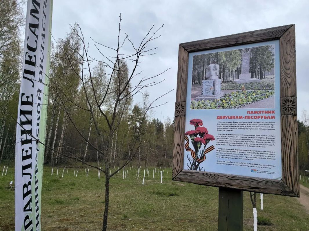 Память, которую хранят поколения: во Всеволожском районе почтили память девушек-лесорубов Память, которую хранят поколения: во Всеволожском районе почтили память девушек-лесорубов