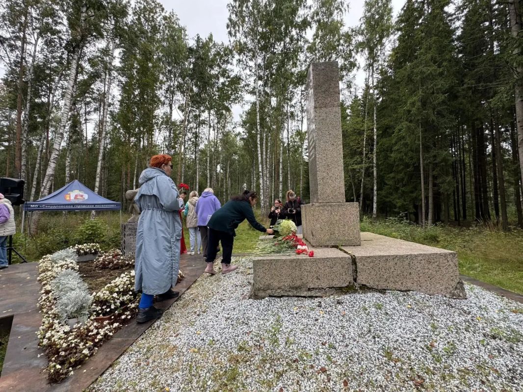 Память, которую хранят поколения: во Всеволожском районе почтили память девушек-лесорубов Память, которую хранят поколения: во Всеволожском районе почтили память девушек-лесорубов