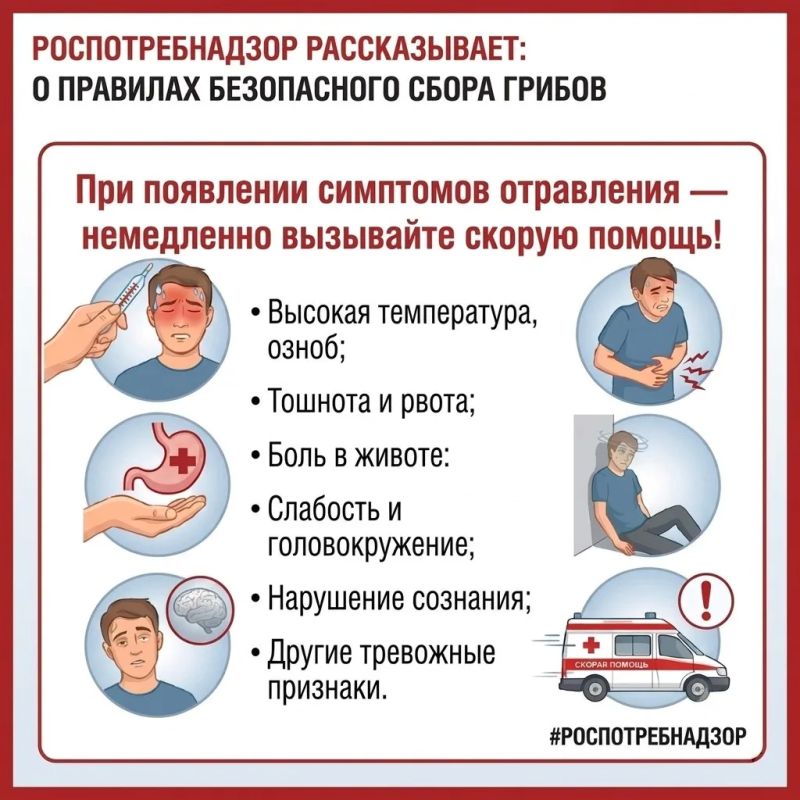 #Роспотребнадзор_напоминает, как избежать отравления грибами #Роспотребнадзор_напоминает, как избежать отравления грибами