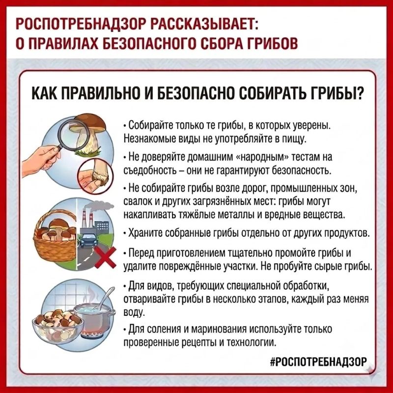 #Роспотребнадзор_напоминает, как избежать отравления грибами