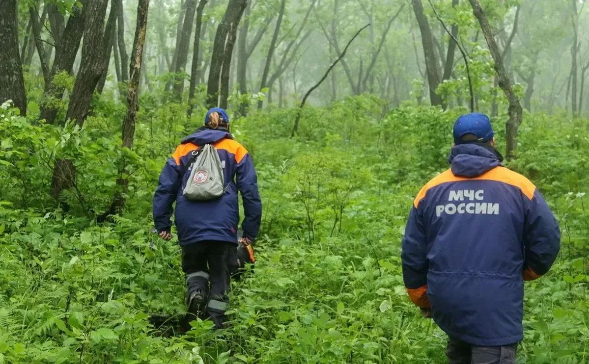 За прошедшие сутки подразделения территориального пожарно-спасательного гарнизона Ленинградской области реагировали на 20 оперативных событий: За прошедшие сутки подразделения территориального пожарно-спасательного гарнизона Ленинградской области реагировали на 20 оперативных событий: