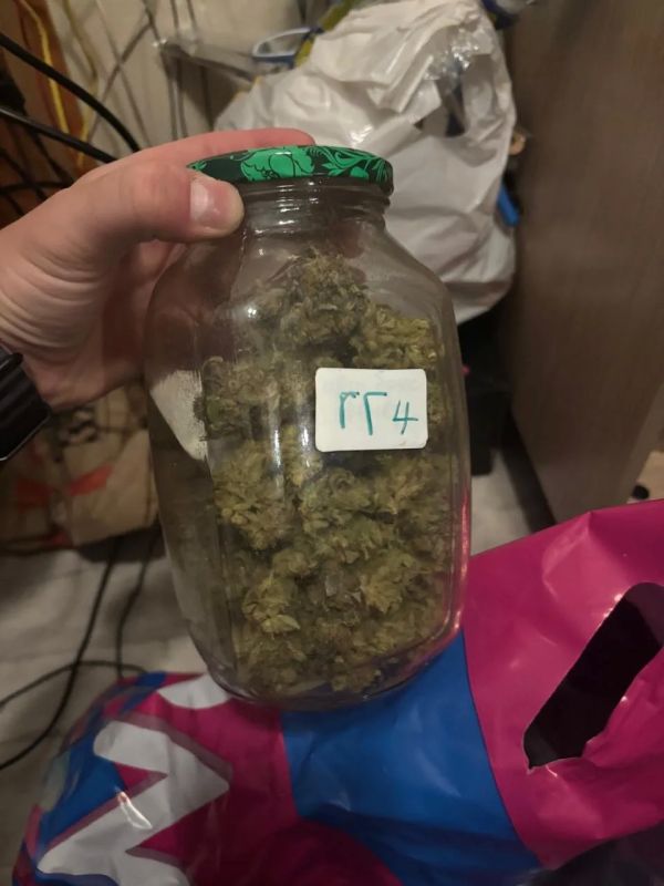 6 кг марихуаны нашли в квартире жителя Мурино 6 кг марихуаны нашли в квартире жителя Мурино