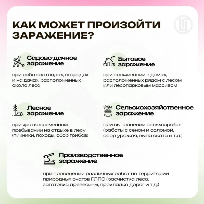 Мышиный сюрприз. Профилактика ГЛПС Мышиный сюрприз. Профилактика ГЛПС