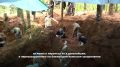 Спустя 80 лет возвращают имена: в Ленинградской области поисковики подняли останки более 200 красноармейцев из госпитального захоронения времен Великой Отечественной войны