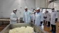 Производство мягких сыров в Ленинградской области увеличится на 50% — новый роботизированный цех планируется запустить на заводе «Микельанджело» в посёлке Кобралово