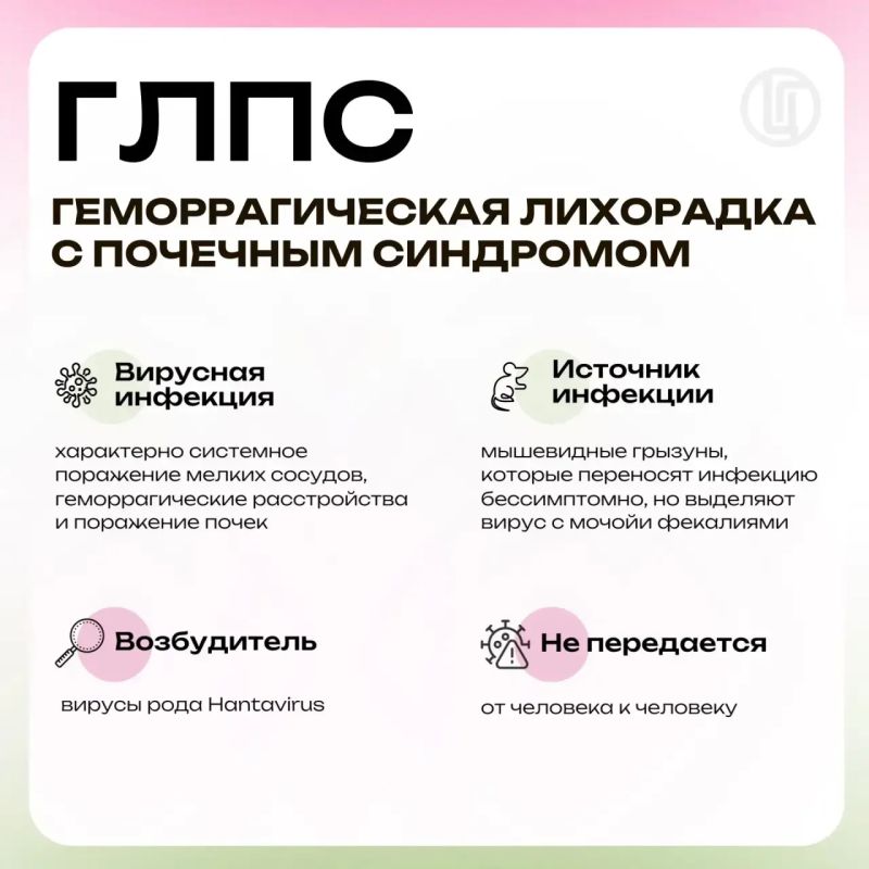 Мышиный сюрприз. Профилактика ГЛПС Мышиный сюрприз. Профилактика ГЛПС