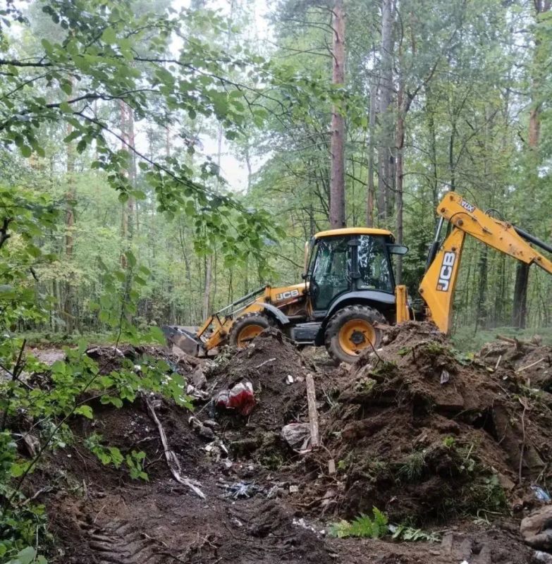 За неделю в лесах Ленинградской области ликвидировано 10 несанкционированных свалок, вывезено около 100 кубометров мусора За неделю в лесах Ленинградской области ликвидировано 10 несанкционированных свалок, вывезено около 100 кубометров мусора