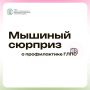 Мышиный сюрприз. Профилактика ГЛПС