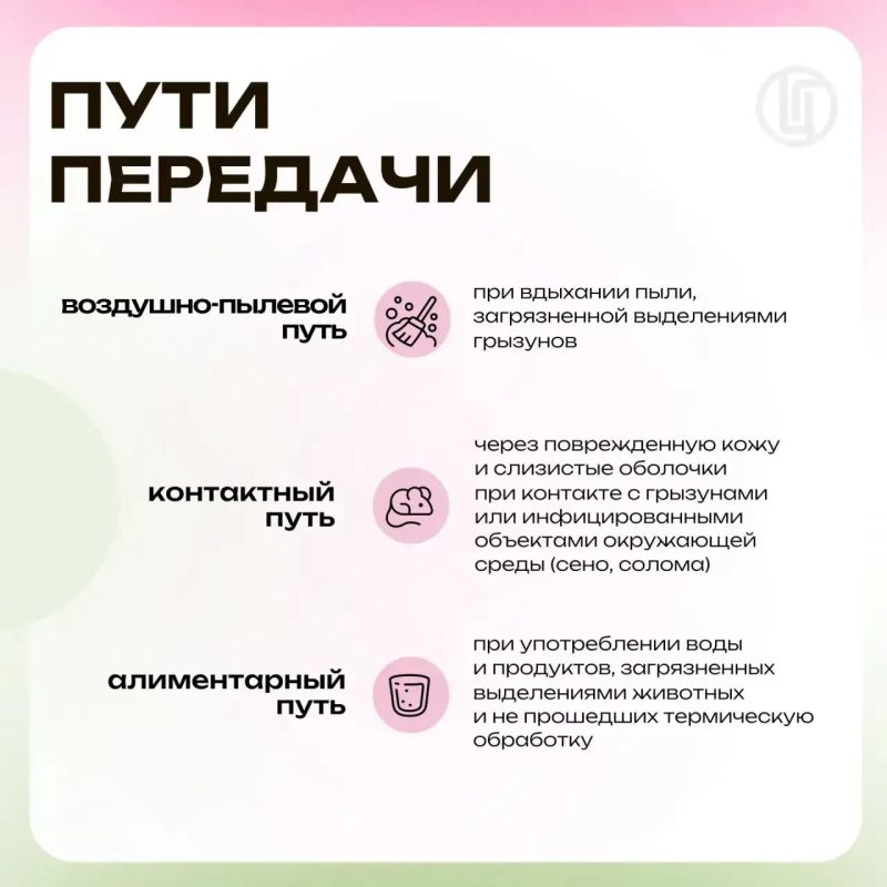 Мышиный сюрприз. Профилактика ГЛПС Мышиный сюрприз. Профилактика ГЛПС