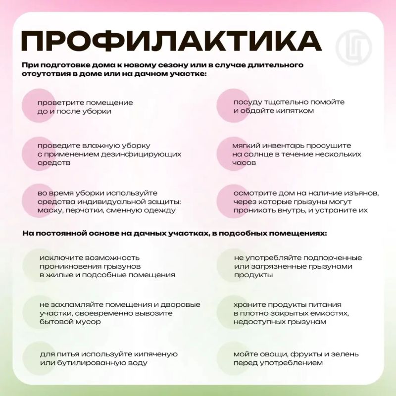 Мышиный сюрприз. Профилактика ГЛПС Мышиный сюрприз. Профилактика ГЛПС