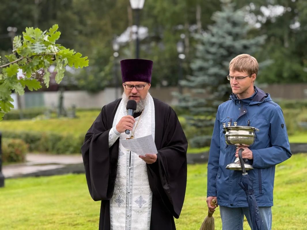 Петровский дуб высадили во Всеволожске Петровский дуб высадили во Всеволожске