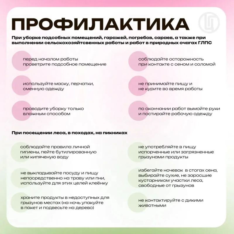 Мышиный сюрприз. Профилактика ГЛПС Мышиный сюрприз. Профилактика ГЛПС