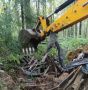За неделю в лесах Ленинградской области ликвидировано 10 несанкционированных свалок, вывезено около 100 кубометров мусора