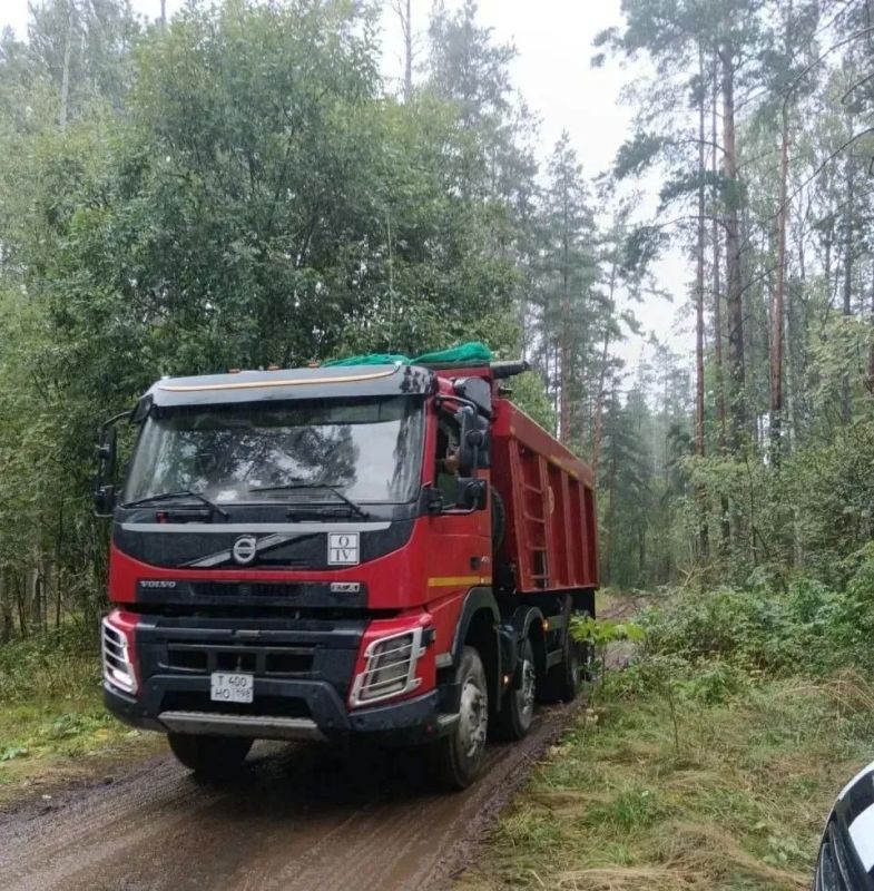 За неделю в лесах Ленобласти ликвидировали ещё 10 несанкционированных свалок За неделю в лесах Ленобласти ликвидировали ещё 10 несанкционированных свалок