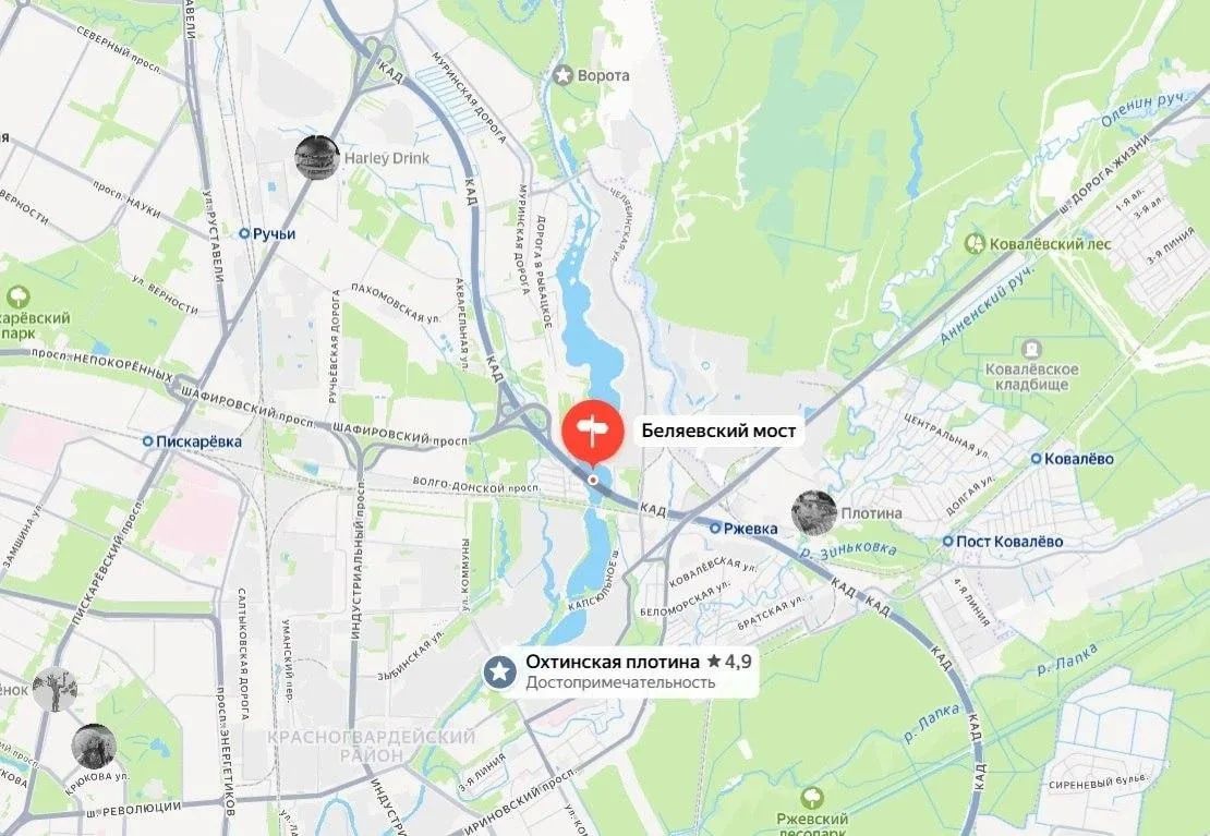 Мертвую рыбу нашли в Охтинском водохранилище