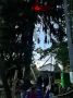 ���������� �������� ���� ����� �� ������� � ������� ���������