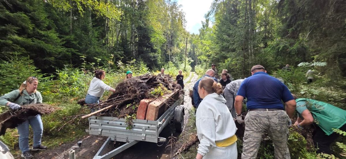 Леса Ленинградской области становятся чище: во Всеволожском районе вывезли 40 кубометров мусора Леса Ленинградской области становятся чище: во Всеволожском районе вывезли 40 кубометров мусора