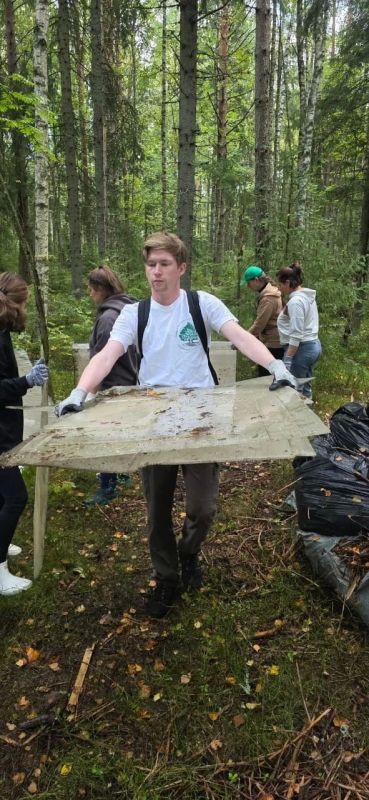 В лесах Всеволожского района ликвидировали 40 кубометров мусора В лесах Всеволожского района ликвидировали 40 кубометров мусора
