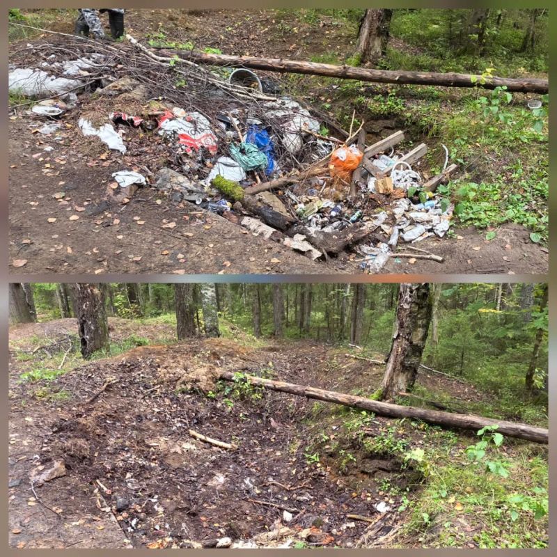 Леса Ленинградской области становятся чище: во Всеволожском районе вывезли 40 кубометров мусора Леса Ленинградской области становятся чище: во Всеволожском районе вывезли 40 кубометров мусора