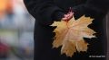 Карелия и Краснодарский край стали самыми востребованными направлениями для бронирования загородных домов, коттеджей и глэмпингов в период ранней осени, рассказали ТАСС в сервисе онлайн-бронирования "Островок"