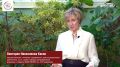 С наступлением осени начинается сезон ОРВИ и гриппа